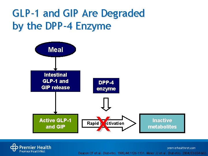 GLP-1 and GIP Are Degraded by the DPP-4 Enzyme Meal Intestinal GLP-1 and GIP