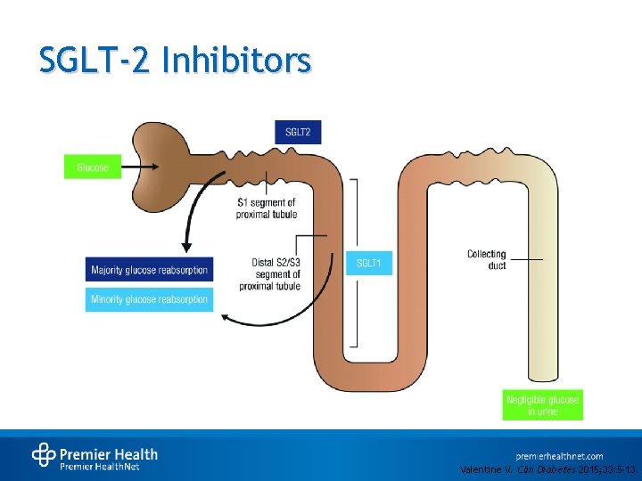 SGLT-2 Inhibitors Valentine V. Clin Diabetes 2015; 33: 5 -13. 