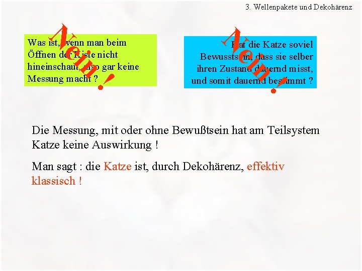 3. Wellenpakete und Dekohärenz n ei ! ! Hat die Katze soviel Bewusstsein, dass