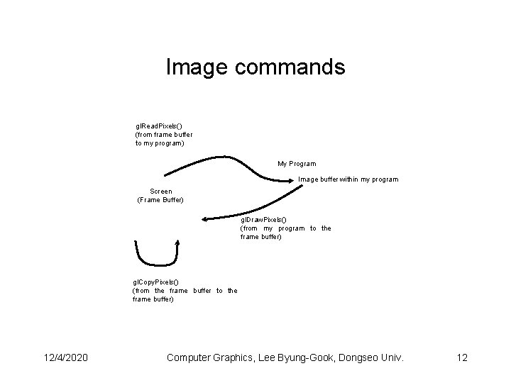 Image commands gl. Read. Pixels() (from frame buffer to my program) My Program Image