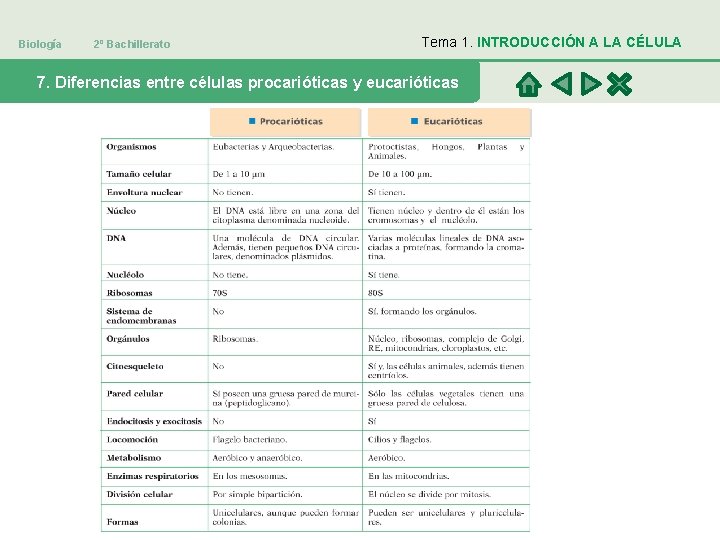 Biología 2º Bachillerato Tema 1. INTRODUCCIÓN A LA CÉLULA 7. Diferencias entre células procarióticas