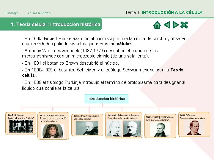 Biología 2º Bachillerato Tema 1. INTRODUCCIÓN A LA CÉLULA 1. Teoría celular: introducción histórica
