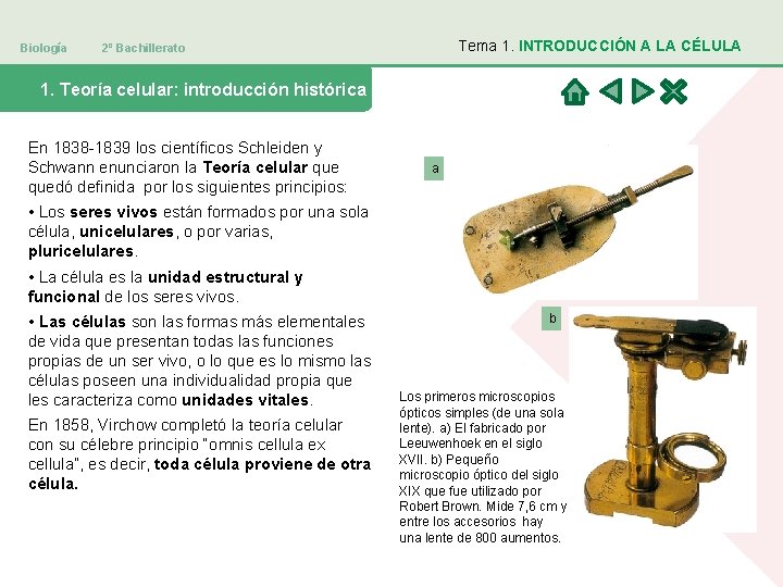 Biología Tema 1. INTRODUCCIÓN A LA CÉLULA 2º Bachillerato 1. Teoría celular: introducción histórica