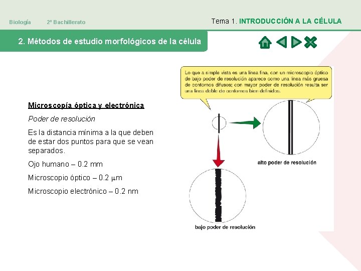 Biología 2º Bachillerato 2. Métodos de estudio morfológicos de la célula Microscopía óptica y