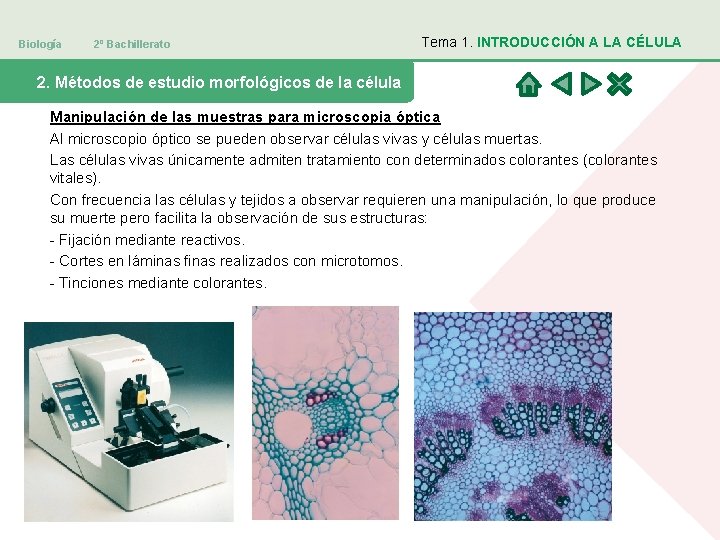 Biología 2º Bachillerato Tema 1. INTRODUCCIÓN A LA CÉLULA 2. Métodos de estudio morfológicos