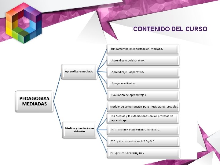 CONTENIDO DEL CURSO 