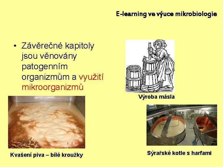 E-learning ve výuce mikrobiologie • Závěrečné kapitoly jsou věnovány patogenním organizmům a využití mikroorganizmů