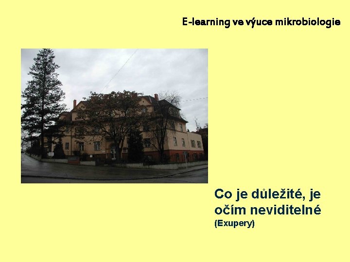 E-learning ve výuce mikrobiologie Co je důležité, je očím neviditelné (Exupery) 