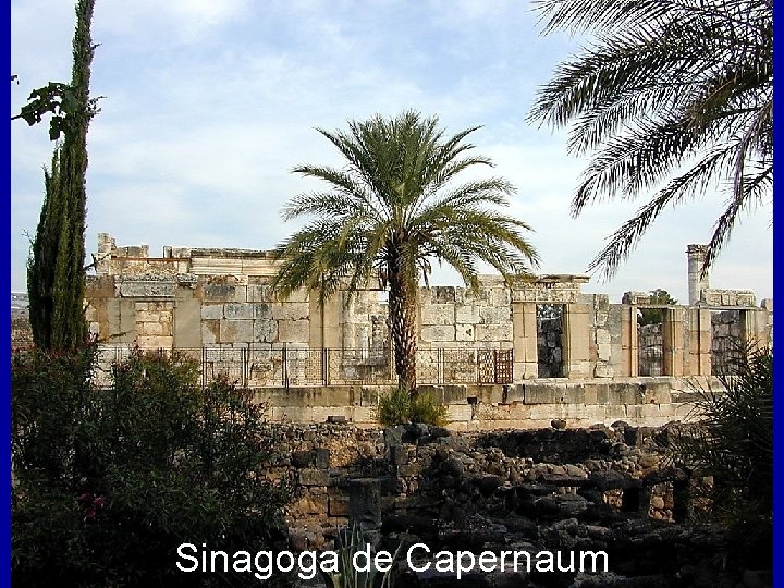 Sinagoga de Capernaum 