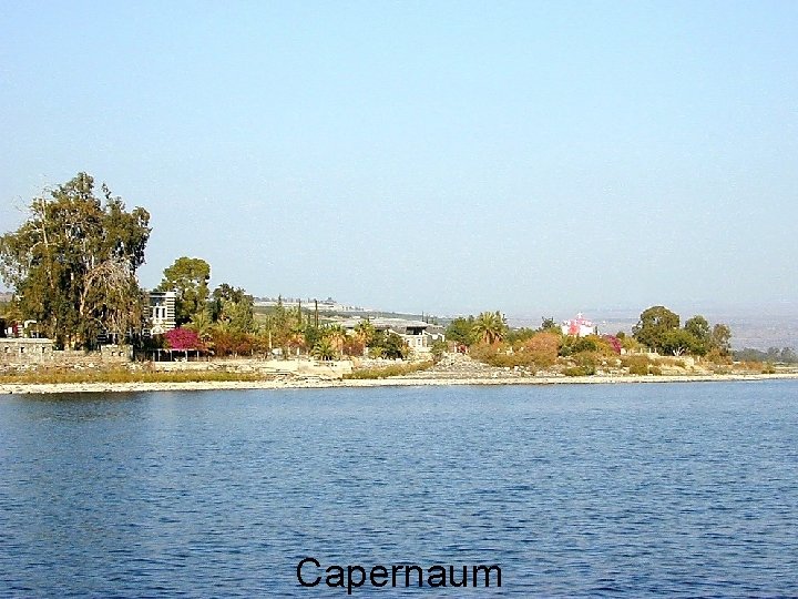 Capernaum 