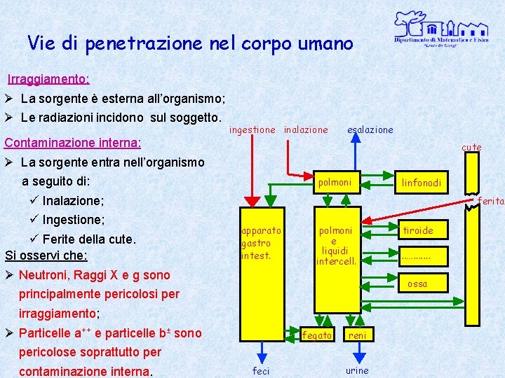 Vie di penetrazione nel corpo umano Irraggiamento: Ø La sorgente è esterna all’organismo; Ø