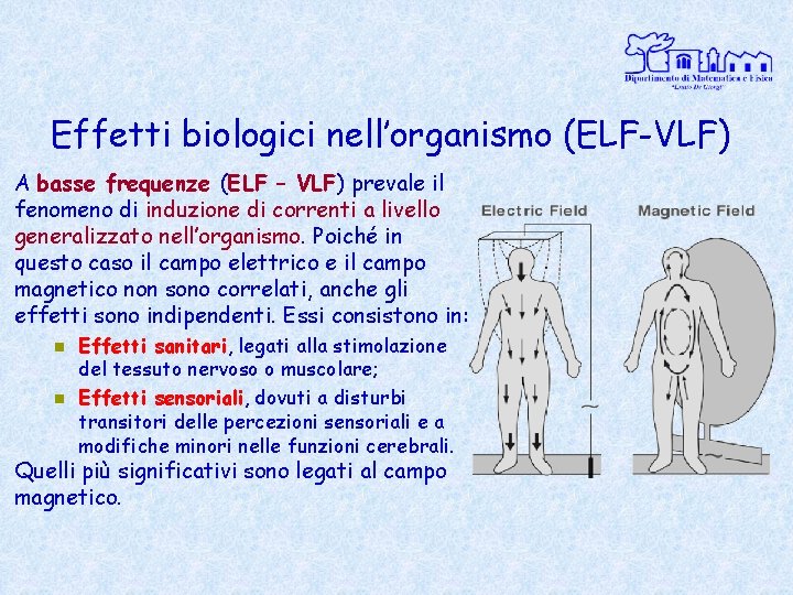 Effetti biologici nell’organismo (ELF-VLF) A basse frequenze (ELF – VLF) prevale il fenomeno di