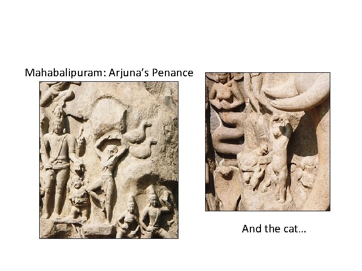 Mahabalipuram: Arjuna’s Penance And the cat… 