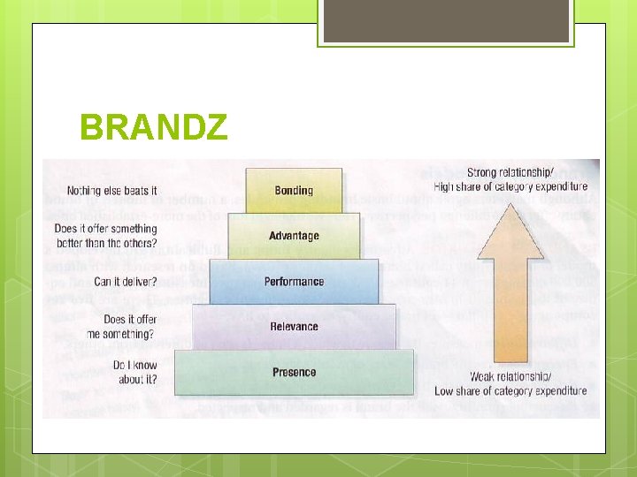 BRANDZ 