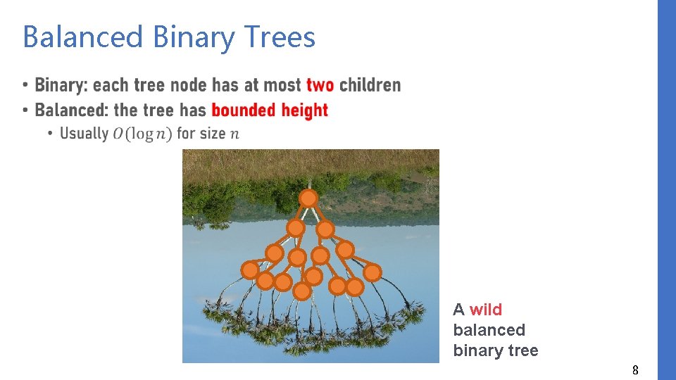 Balanced Binary Trees • A wild balanced binary tree 8 