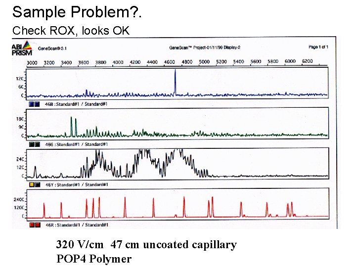 Sample Problem? . Check ROX, looks OK 320 V/cm 47 cm uncoated capillary POP