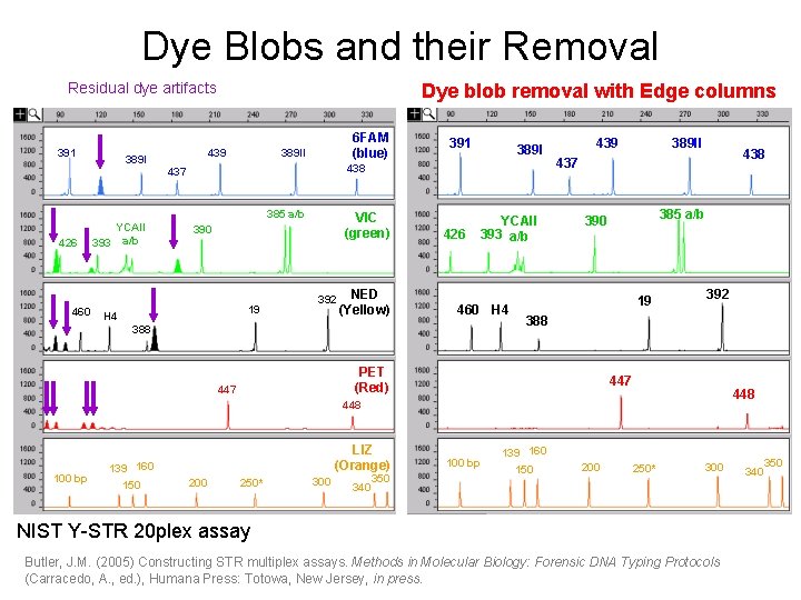 Dye Blobs and their Removal Residual dye artifacts 391 389 I Dye blob removal