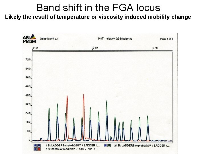 Band shift in the FGA locus Likely the result of temperature or viscosity induced