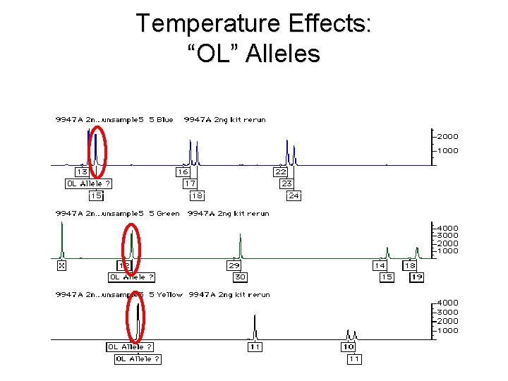 Temperature Effects: “OL” Alleles 