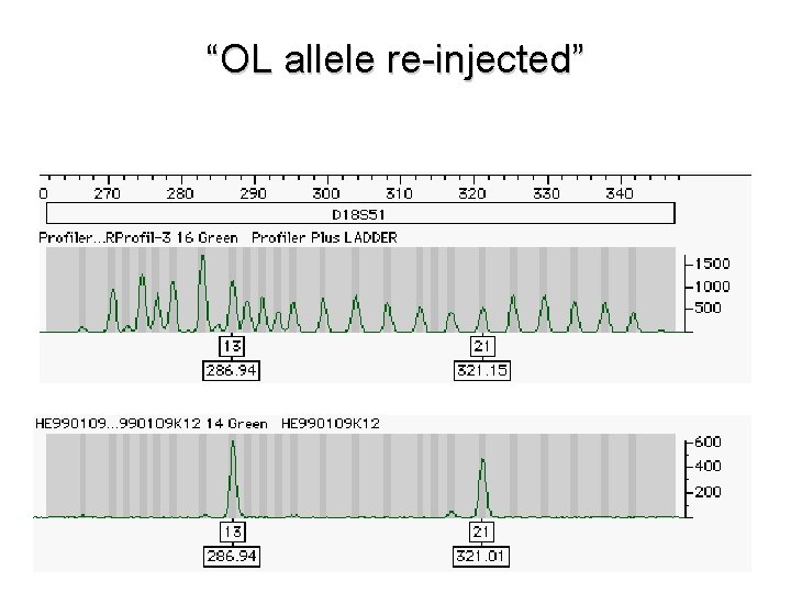 “OL allele re-injected” 