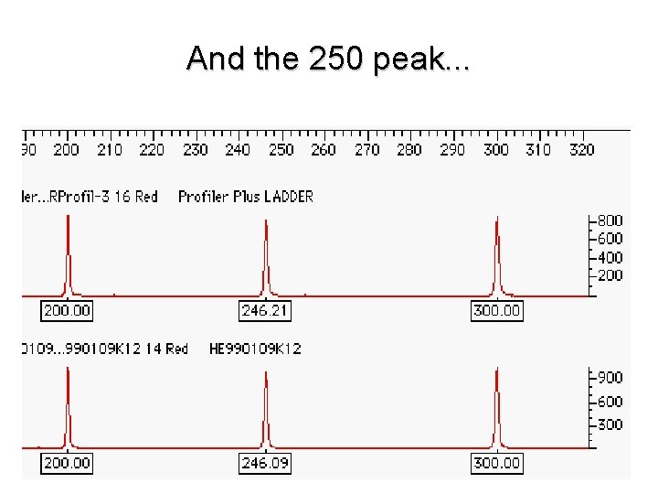 And the 250 peak. . . 