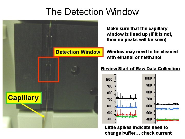 The Detection Window Make sure that the capillary window is lined up (if it