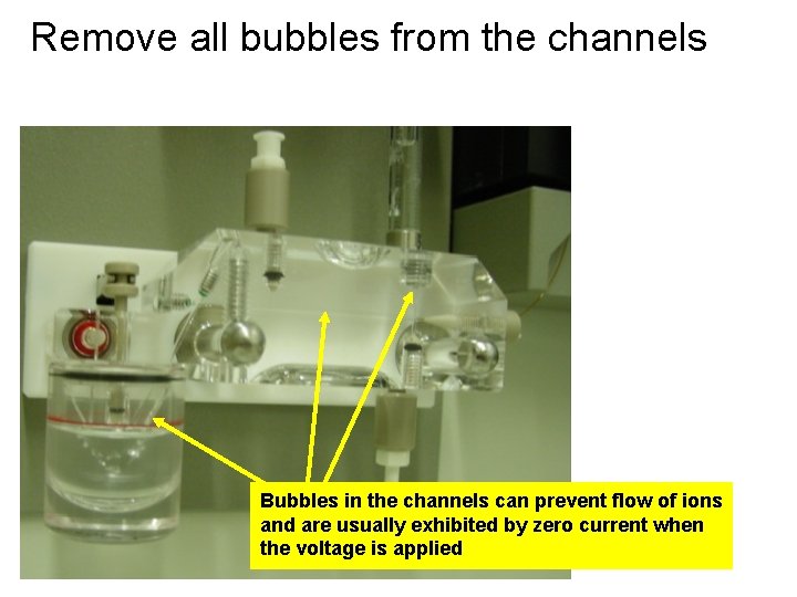 Remove all bubbles from the channels Bubbles in the channels can prevent flow of