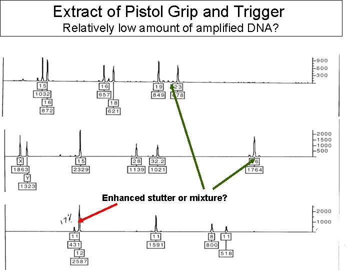 Extract of Pistol Grip and Trigger Relatively low amount of amplified DNA? Blue Green