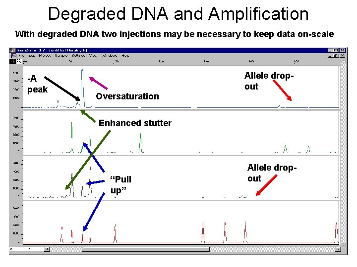 Degraded DNA and Amplification With degraded DNA two injections may be necessary to keep