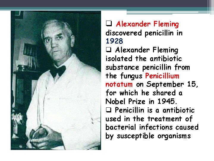 q Alexander Fleming discovered penicillin in 1928 q Alexander Fleming isolated the antibiotic substance