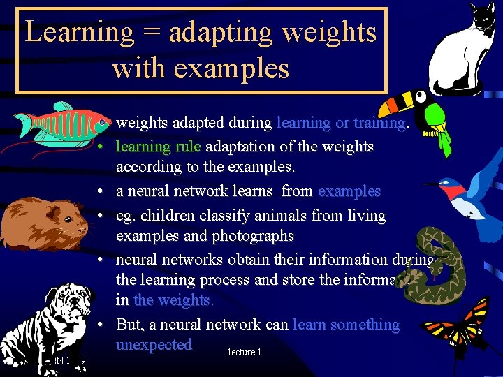 Learning = adapting weights with examples ANN 2009 • weights adapted during learning or