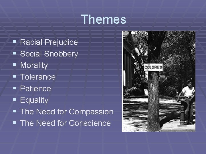 Themes § § § § Racial Prejudice Social Snobbery Morality Tolerance Patience Equality The