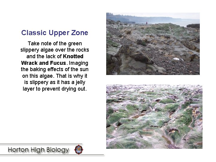 Classic Upper Zone Take note of the green slippery algae over the rocks and