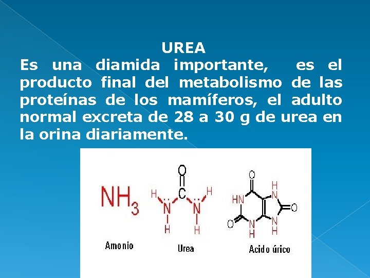 UREA Es una diamida importante, es el producto final del metabolismo de las proteínas