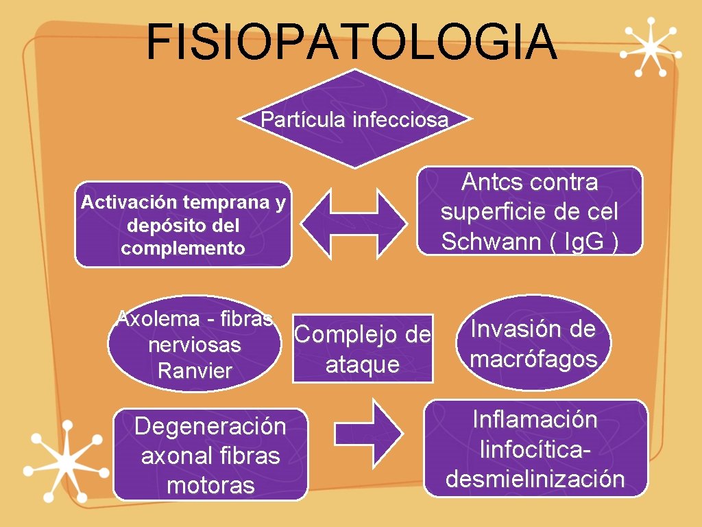 FISIOPATOLOGIA Partícula infecciosa Activación temprana y depósito del complemento Axolema - fibras Complejo de