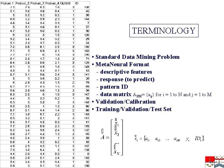 TERMINOLOGY • Standard Data Mining Problem • Meta. Neural Format - descriptive features -