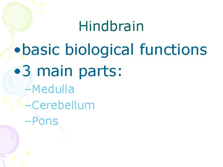 Hindbrain • basic biological functions • 3 main parts: –Medulla –Cerebellum –Pons 