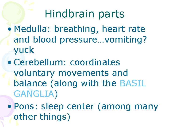 Hindbrain parts • Medulla: breathing, heart rate and blood pressure…vomiting? yuck • Cerebellum: coordinates