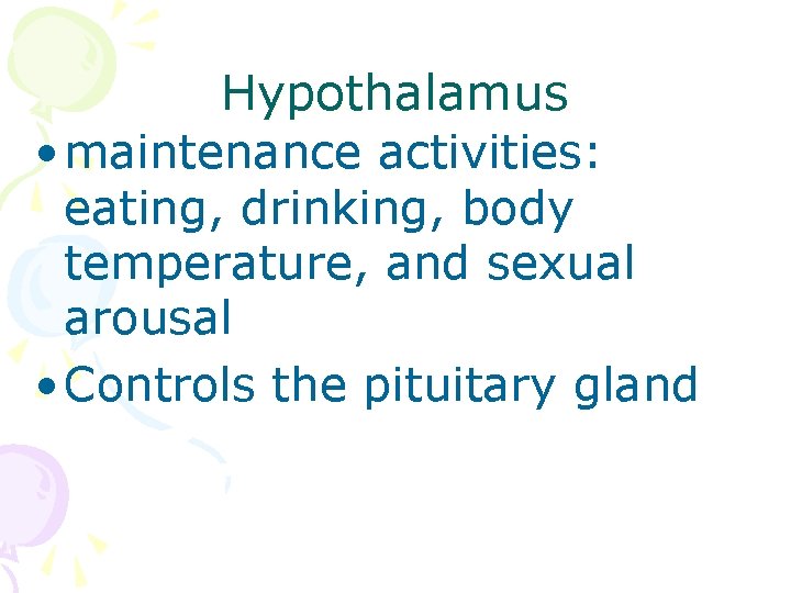 Hypothalamus • maintenance activities: eating, drinking, body temperature, and sexual arousal • Controls the