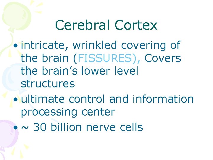Cerebral Cortex • intricate, wrinkled covering of the brain (FISSURES), Covers the brain’s lower