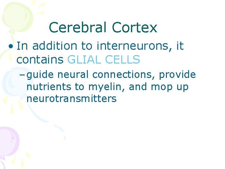 Cerebral Cortex • In addition to interneurons, it contains GLIAL CELLS – guide neural