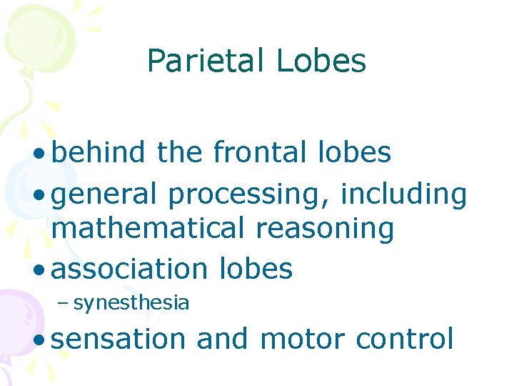 Parietal Lobes • behind the frontal lobes • general processing, including mathematical reasoning •