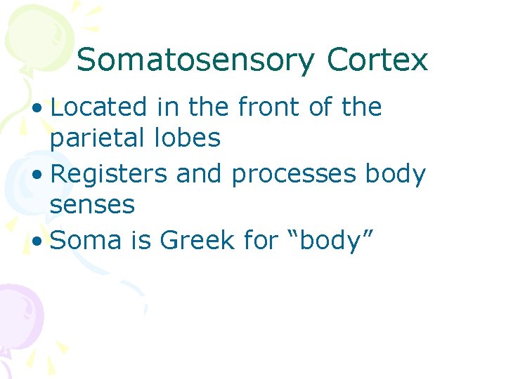 Somatosensory Cortex • Located in the front of the parietal lobes • Registers and