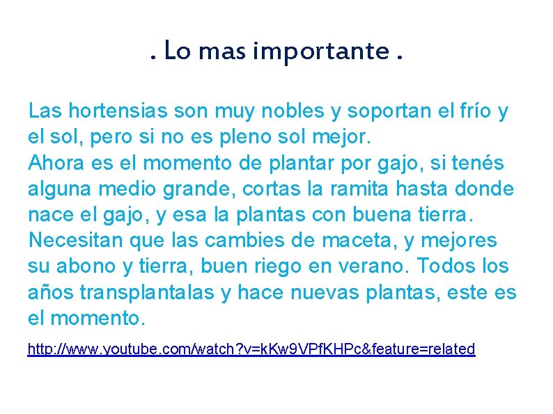 . Lo mas importante. Las hortensias son muy nobles y soportan el frío y