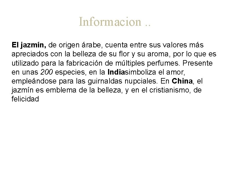 Informacion. . El jazmín, de origen árabe, cuenta entre sus valores más apreciados con