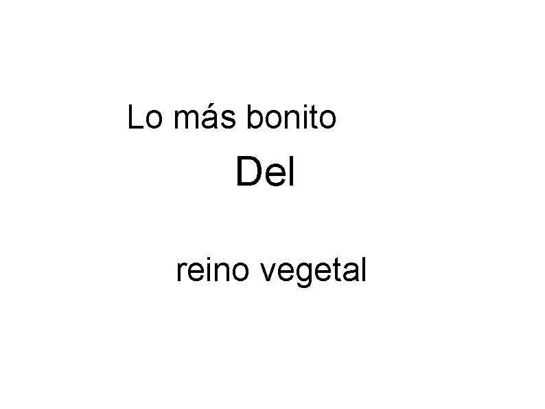 Lo más bonito Del reino vegetal 