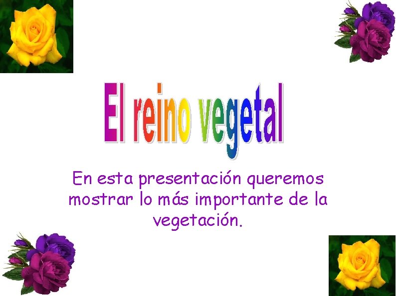 El reino vegetal En esta presentación queremos mostrar lo más importante de la vegetación.