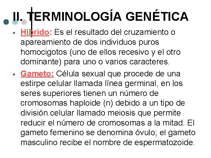 II. TERMINOLOGÍA GENÉTICA Híbrido: Es el resultado del cruzamiento o apareamiento de dos individuos