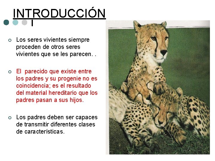 INTRODUCCIÓN ¢ Los seres vivientes siempre proceden de otros seres vivientes que se les