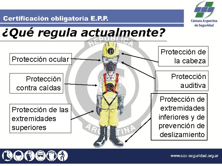 ¿Qué regula actualmente? Protección ocular Protección contra caídas Protección de las extremidades superiores Protección